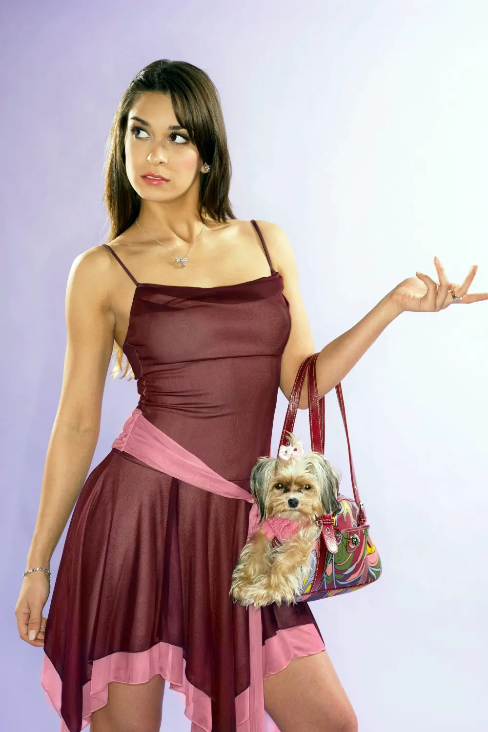 Woman Carrying Her Yorkshire Terrier in Her Handbag